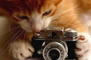 Все, что вы хотели знать о фотографии, расскажут в Сокольниках