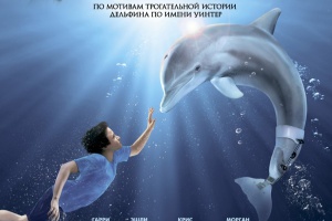 История дельфина