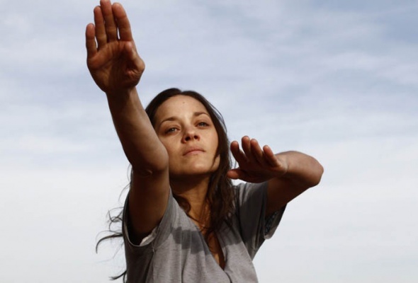 43 Interesnyh Fakta O Filme Rzhavchina I Kost 2012 Smartfacts