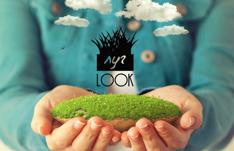 ЛУГ LOOK