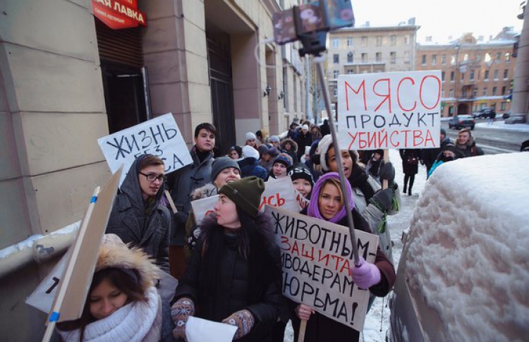 Новый год без мяса