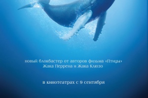 Океаны