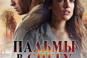 Пальмы в снегу