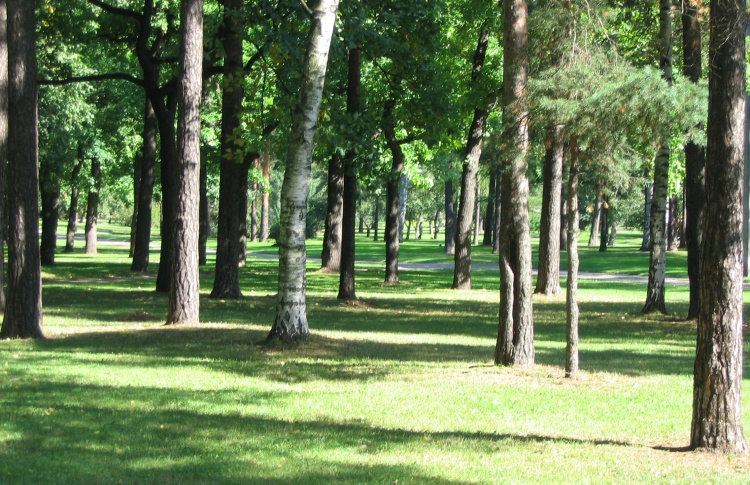 Мировые хиты в парке Сосновка