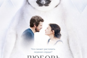 Любовь и пингвины
