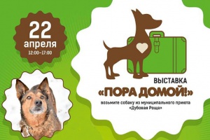 Возьми из приюта, не покупай