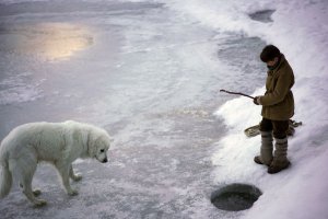 Белль и Себастьян: Друзья навек