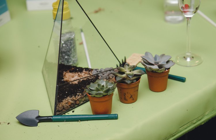 Проект Painty&Planty