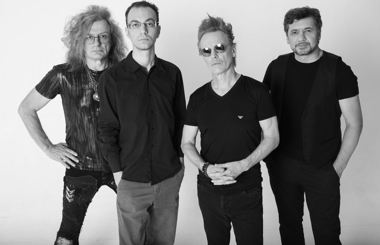 The Stevee Band