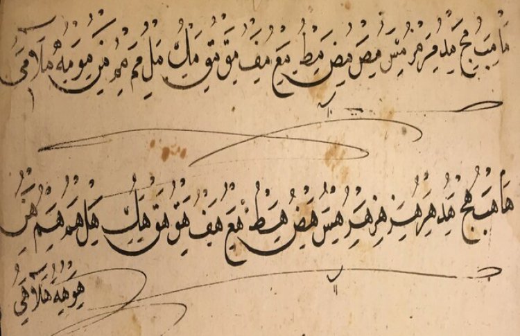 Суфизм без границ. Накшбандийский шейх Ахмед Гюмюшханеви (1813-1893) и его рукописи