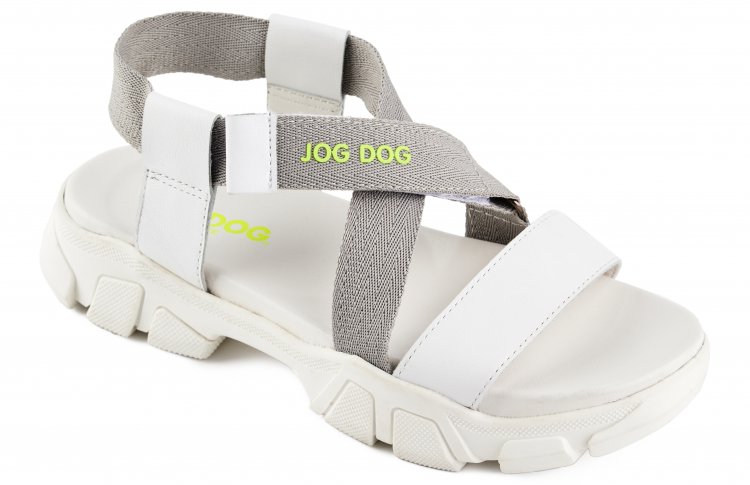 Now to the future с новой коллекцией Jog Dog