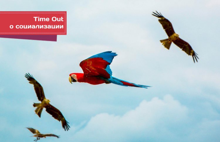 Time Out о социализации