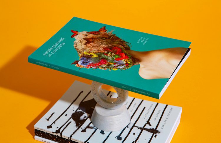 Сказка для взрослых, побег с Аляски и роман в письмах: 5 книжных новинок июня
