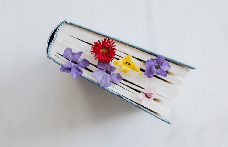 56 отличных книг от 7 книжных блогеров