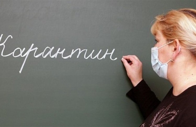 Новояз карантина: слова и понятия, которые вошли в нашу жизнь, когда мы из нее временно вышли